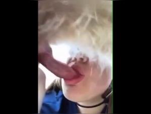 Amateur Dog Sex Video