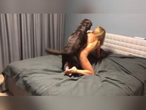 Zoophilia Video: An Extreme Experience