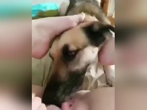 Bestiality and extreme sex: a woman and her canine companion