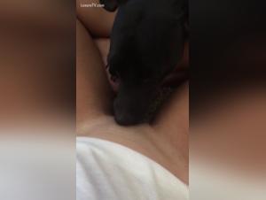 Discover the pleasures of zoophilia with this milf in a hard and extreme video