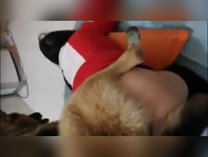A unique bestiality sex experience with an Asian woman and her dog