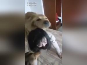 Extreme experience: Sex with a dog