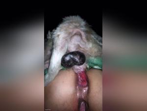 The beast deep inside - Hardcore canine domination
