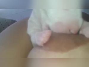 Dog sex video: Woman breastfeeding a puppy in a hard and extreme scene