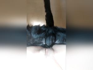 Bestiality Sex Video: Woman and Dog