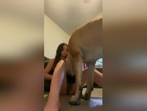 A dog lover's secret pleasure with his girlfriend's wife