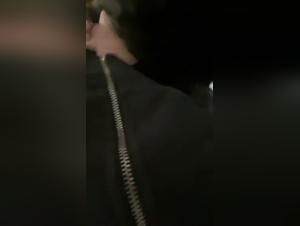 Unheilige Einreichung, Hardcore -Hundevergnugen