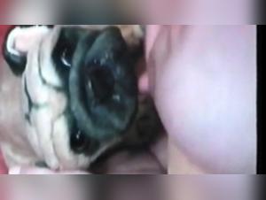 Extreme bestiality video with woman and fake puppies