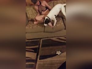 Slut folle il suo cane: esplora l'intonaco di animali