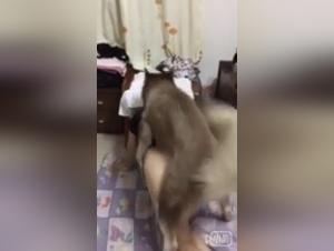 Obscure Desire: When the Asian Slut Gives Herself to the Dog