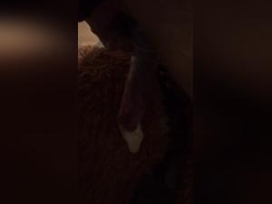 Watch this zoophilia video with a dog and a condom