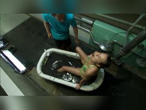 Bestiality: an extreme experience with a dog