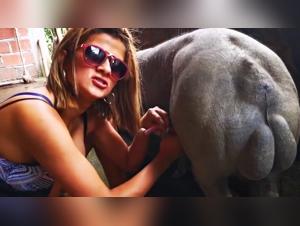 Alisson's Canine Companions' Sizzling Sextape