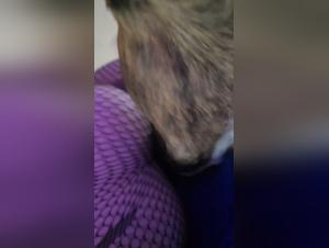 Canine lick, uncontrollable desire