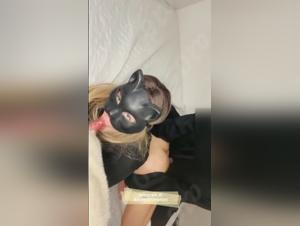 Dog Sex Dynamics: Power and Desire