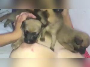 Video of extreme zoophilia with a woman and her dog