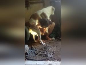 Zoophilia bestiality sex video with a woman and a dog