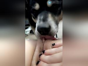 Potenza grezza, istinto animale
