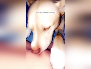 Zoophilia video: A teen subjected to a dog