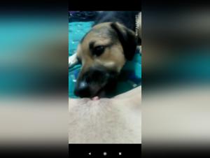 Teen Girl and Dog in Hard Sex Scene