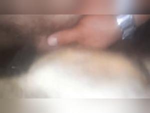 sexdog my girlfriend's dog