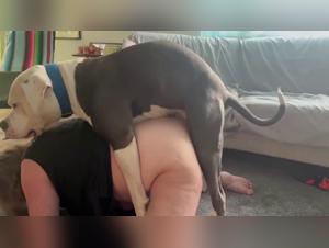 Nonne BBW e il piacere osceno di montare il cane - Video XXX esclusivi