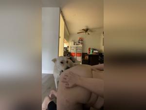 Desiderio canino incontrollato