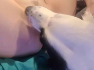 Experience extreme bestiality in this dog sex video