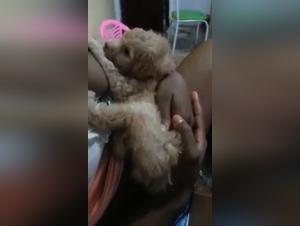 Bestiality sex video with a puppy