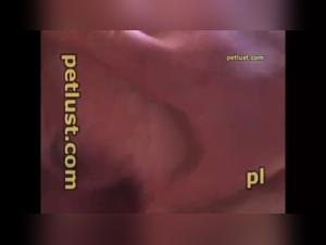 Sex with Dogs Videos: Watch this Bestial Encounter