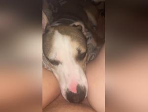 Teil 1: Eine Frau, ein Hund, eine verbotene Leidenschaft