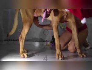 Moments of pleasure and ecstasy with Lise and her canine friends