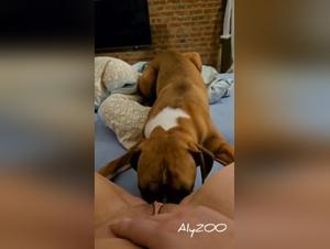 Dog, deep pleasure, incredible reveales