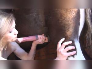 Bestiality video with a horse: secret fantasies