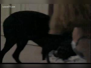 Sex with Dog Video: A Woman Surrenders to Her Darkest Desires