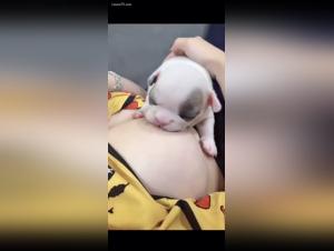 Dog Sex Video: A Bestial and Exciting Experience