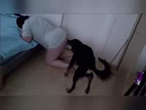 Unclogitated scenes: canine debauchery and maternal drive