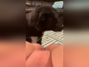 Intense sex scene with dog in bestiality video