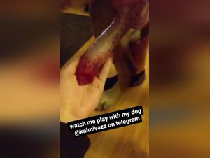 wife dog dynamics exposed