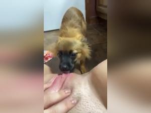 Slut from dog: porn video for all the lovers of animal fucking