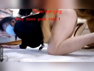 animal fucking zooxnxx