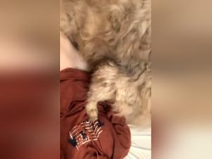 Beyond the Boundaries: Beastiality Explored