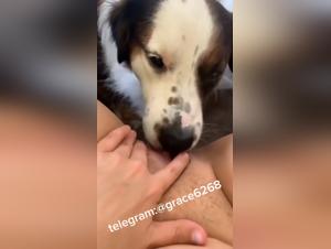 Female Submission, Canine Power: Explore Sensual Sucking