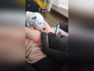 Hard sex video with a dog
