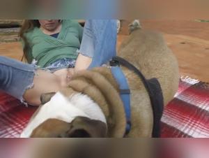 dog fucks girl