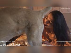 dog sex with girl: exploring the fantasy