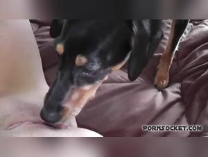 Delicias prohibidas: mujeres y animales en una orgia sensorial