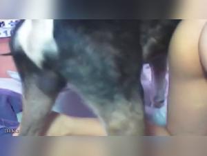 Sex video with dog, an extreme experience