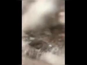 Watch this woman in action with a dog