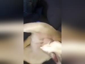 Discover the hot antics of a tattooed woman with a naughty dog